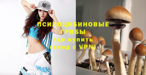 прущие грибы Белокуриха