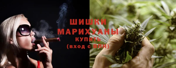 прущие грибы Белокуриха