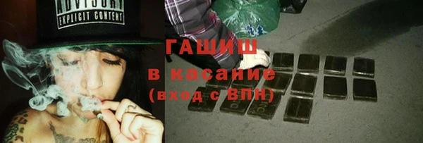 прущие грибы Белокуриха