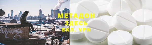 прущие грибы Белокуриха