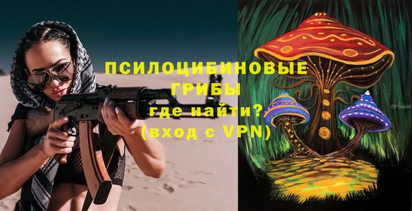 прущие грибы Белокуриха