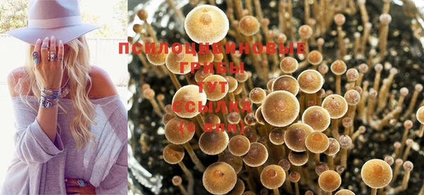 гашишное масло Беломорск